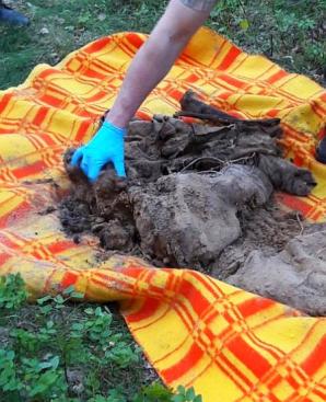 [VIDEO] Policjanci ujawniają zbrodnię sprzed 20 lat. Dotarli do zwłok